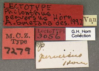 Media type: image;   Entomology 7279 Aspect: labels
